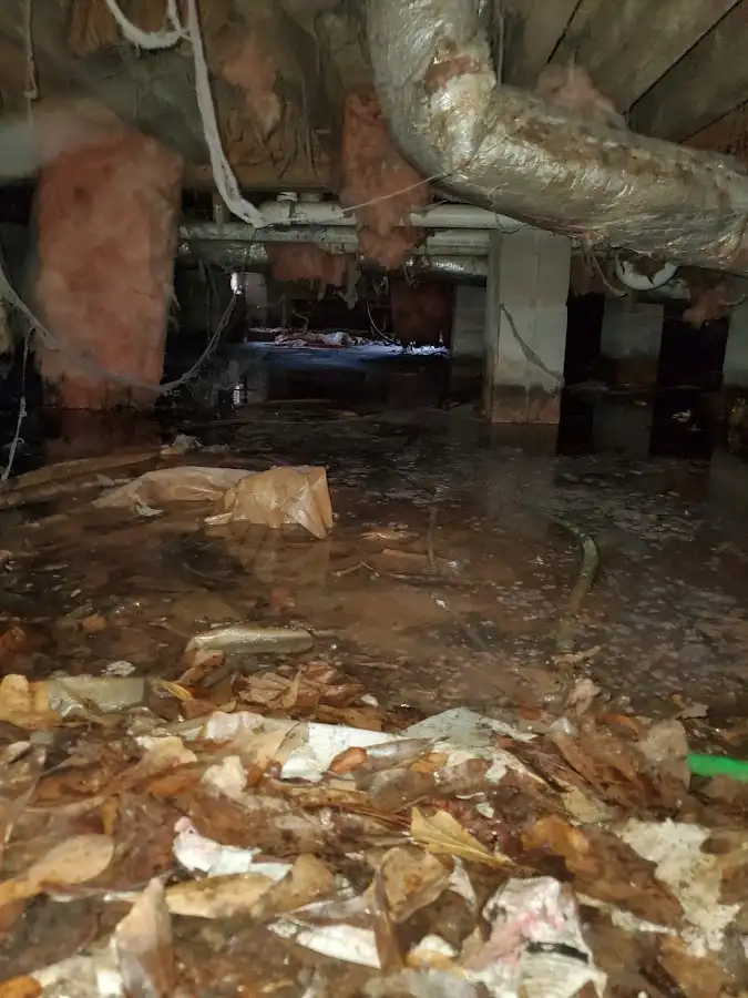 Crawl space flood assessment for Commercial Water Damage Restoration in River Oaks